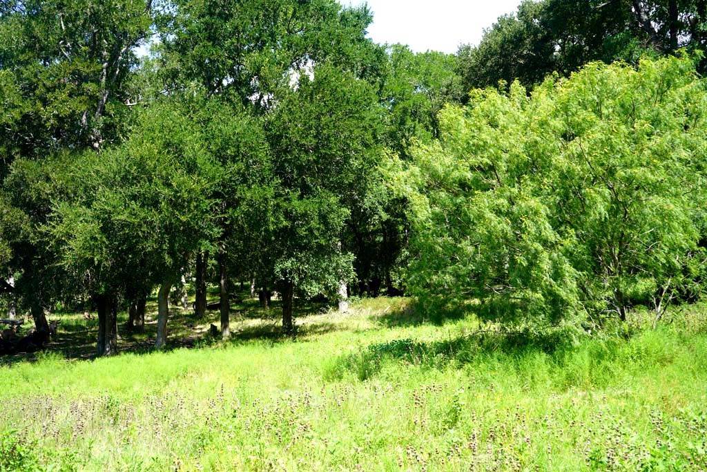 Navasota, TX 77868,00050 County Road 419