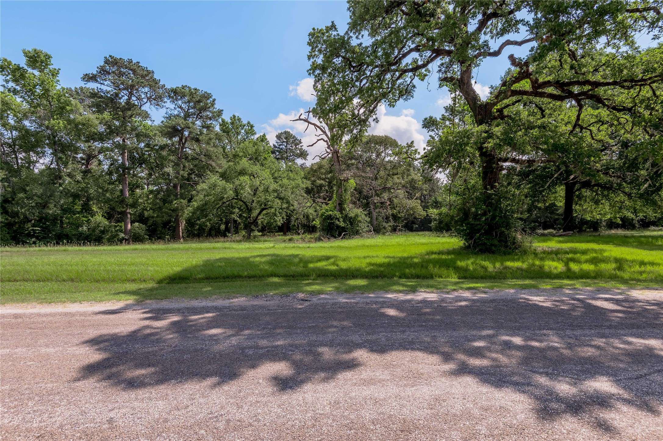 Trinity, TX 75862,Lot 3 Tara Drive