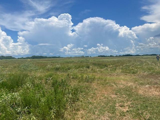 Guy, TX 77444,11403 Guy-Long Point RD