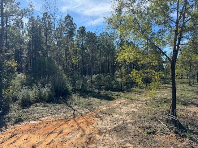 Livingston, TX 77351,TBD FM 350 South Fm-350 S