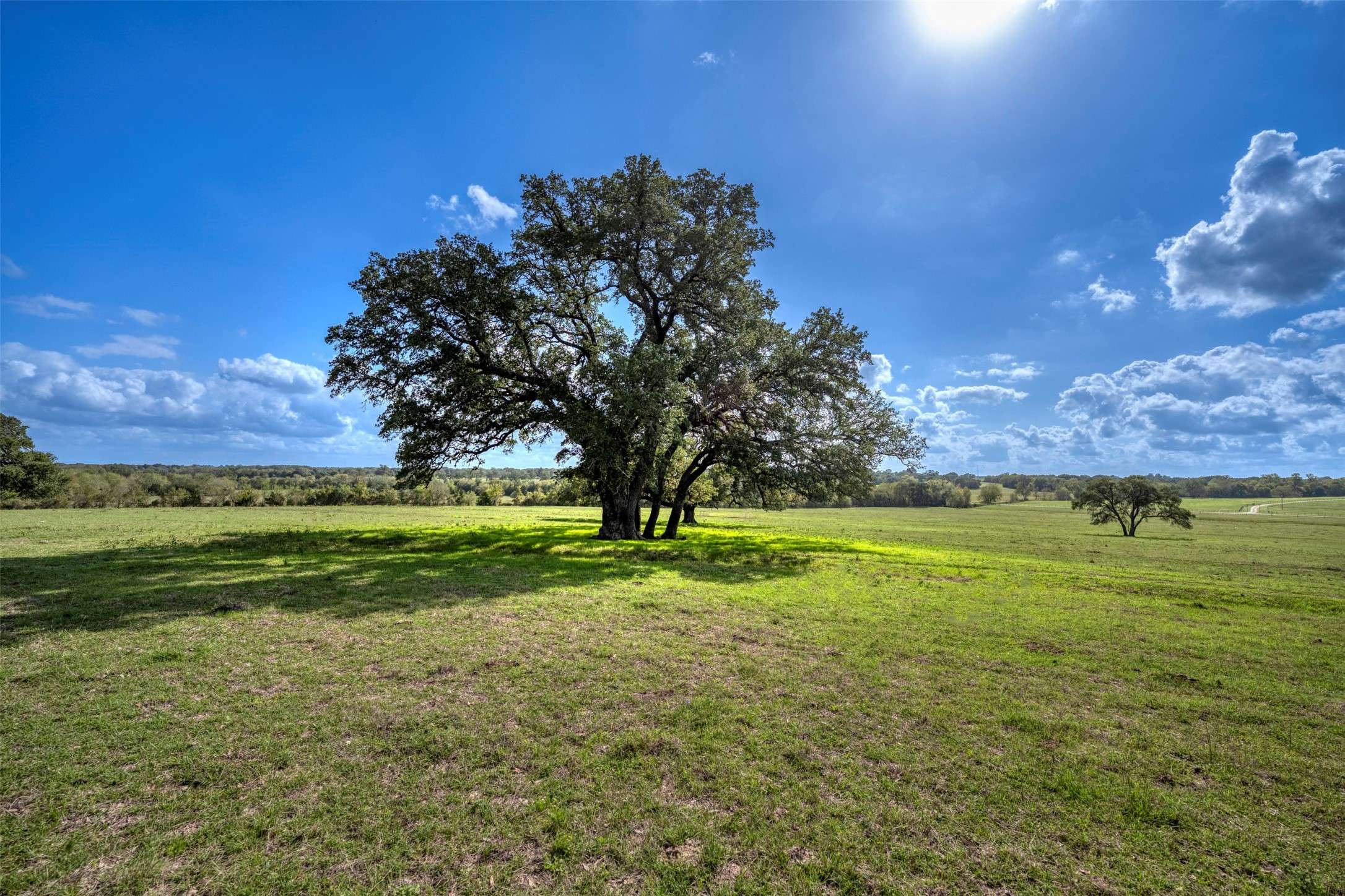 Brenham, TX 77833,3656 Quail Run RD