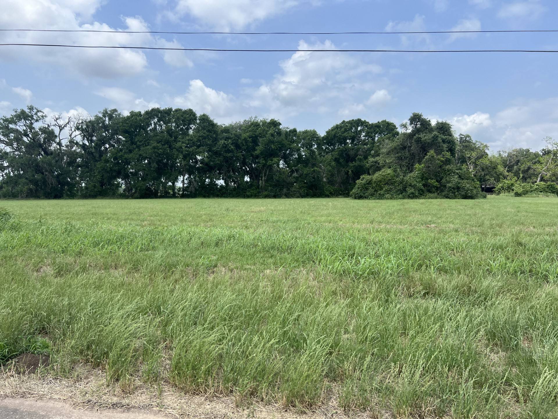 Angleton, TX 77515,130 Pony Trail TRL
