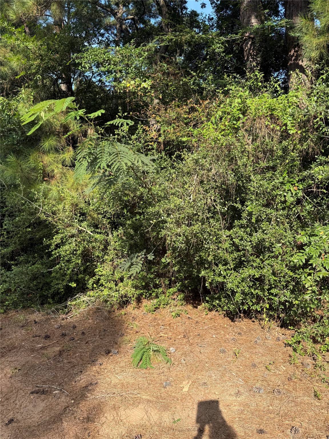 Plantersville, TX 77363,TBD Hillshire PL