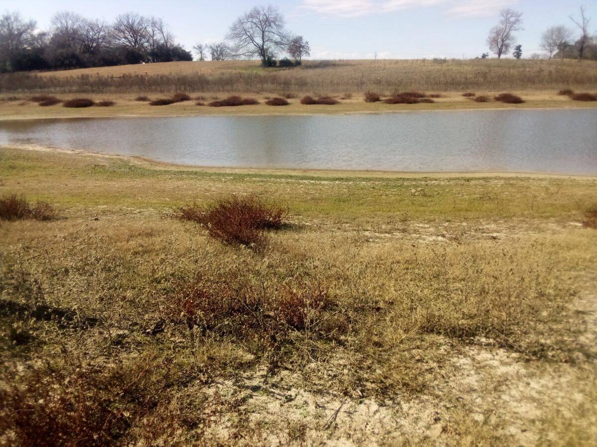 Centerville, TX 75833,TR 7 TBD Pr 1311