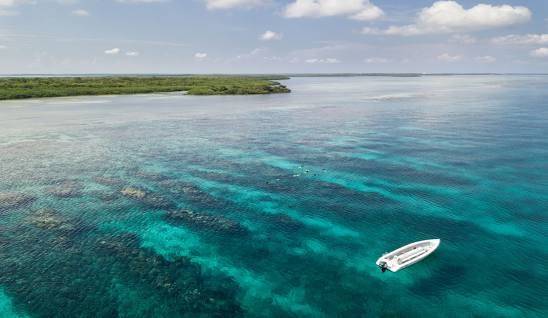 99999,10.67 Acres Island Property - Lower Turneffe