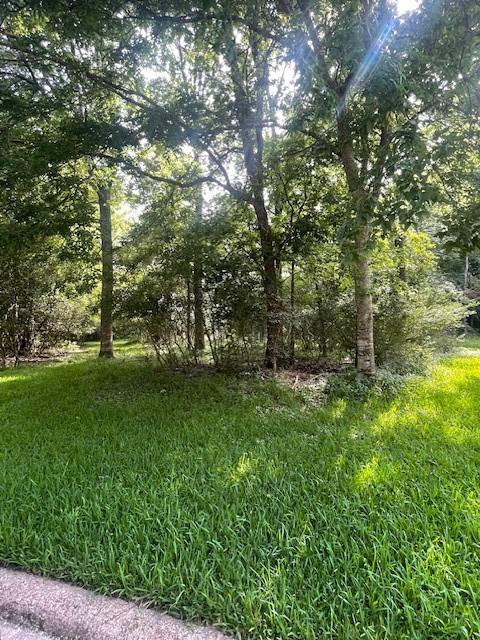 Montgomery, TX 77356,walden 10 Pebble Beach CIR