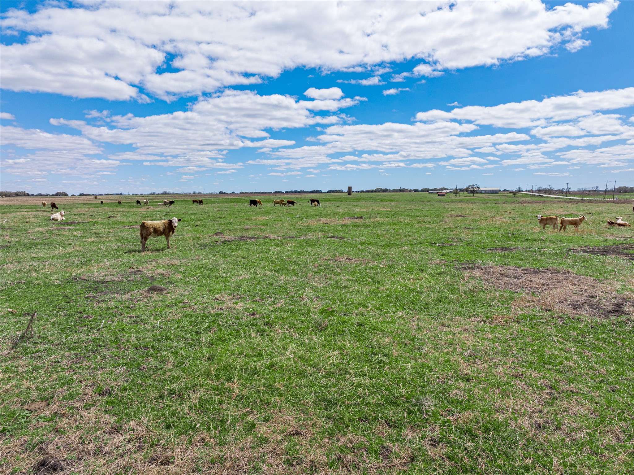 Weimar, TX 78962,TBD FM 155 S Tract 1