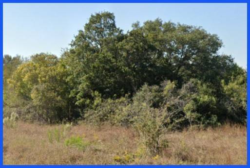 Waelder, TX 78959,TR 2 FM 1680 RD