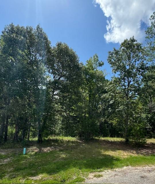 Huntsville, TX 77340,32 Silver Lakes DR