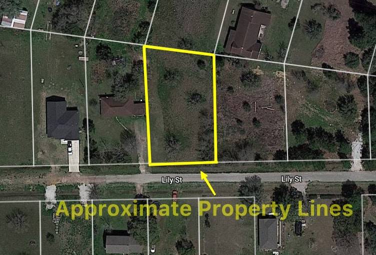 Prairie View, TX 77446,Lot 12 Lily ST