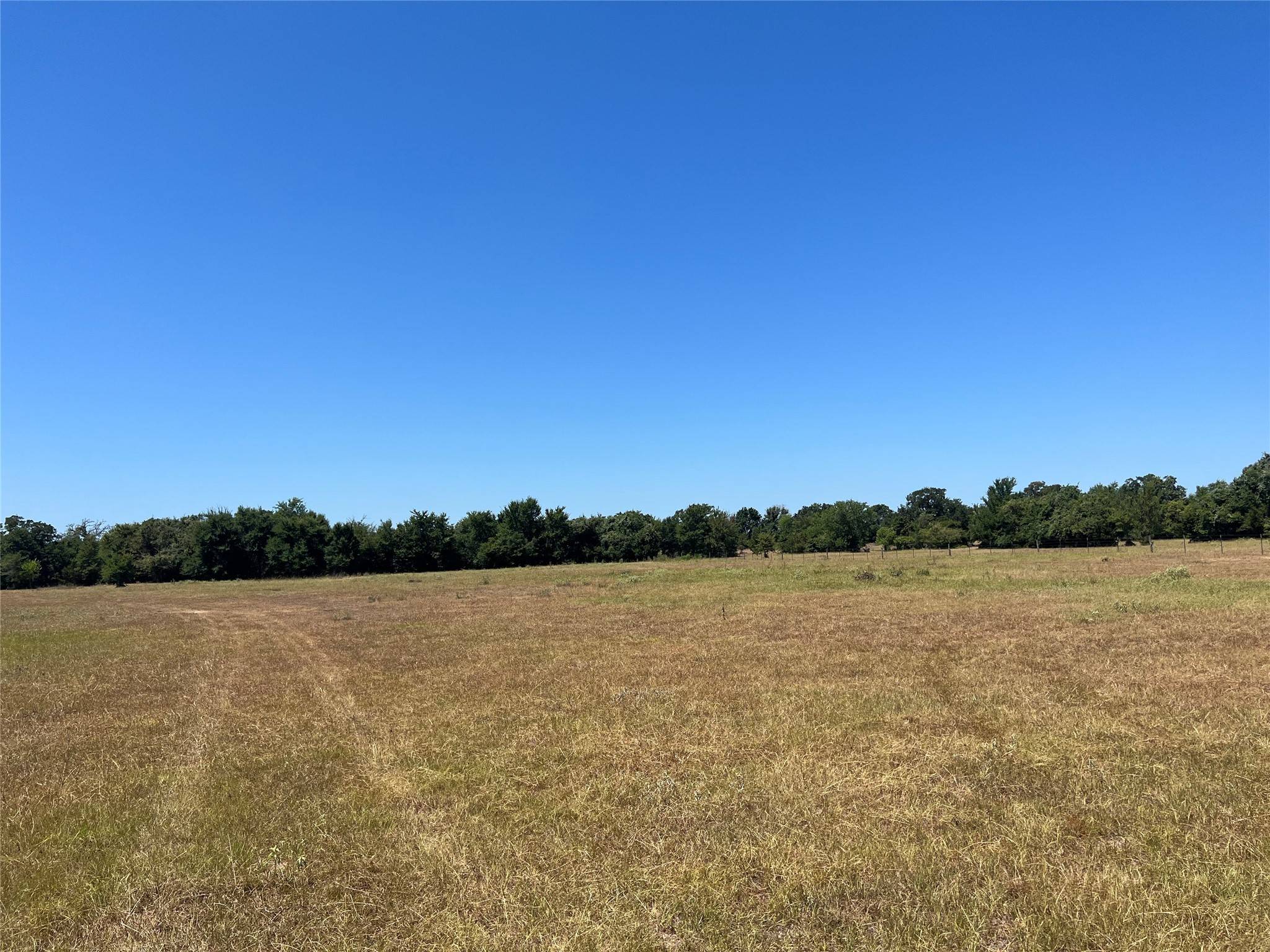 Bedias, TX 77831,12 Acres County Road 127