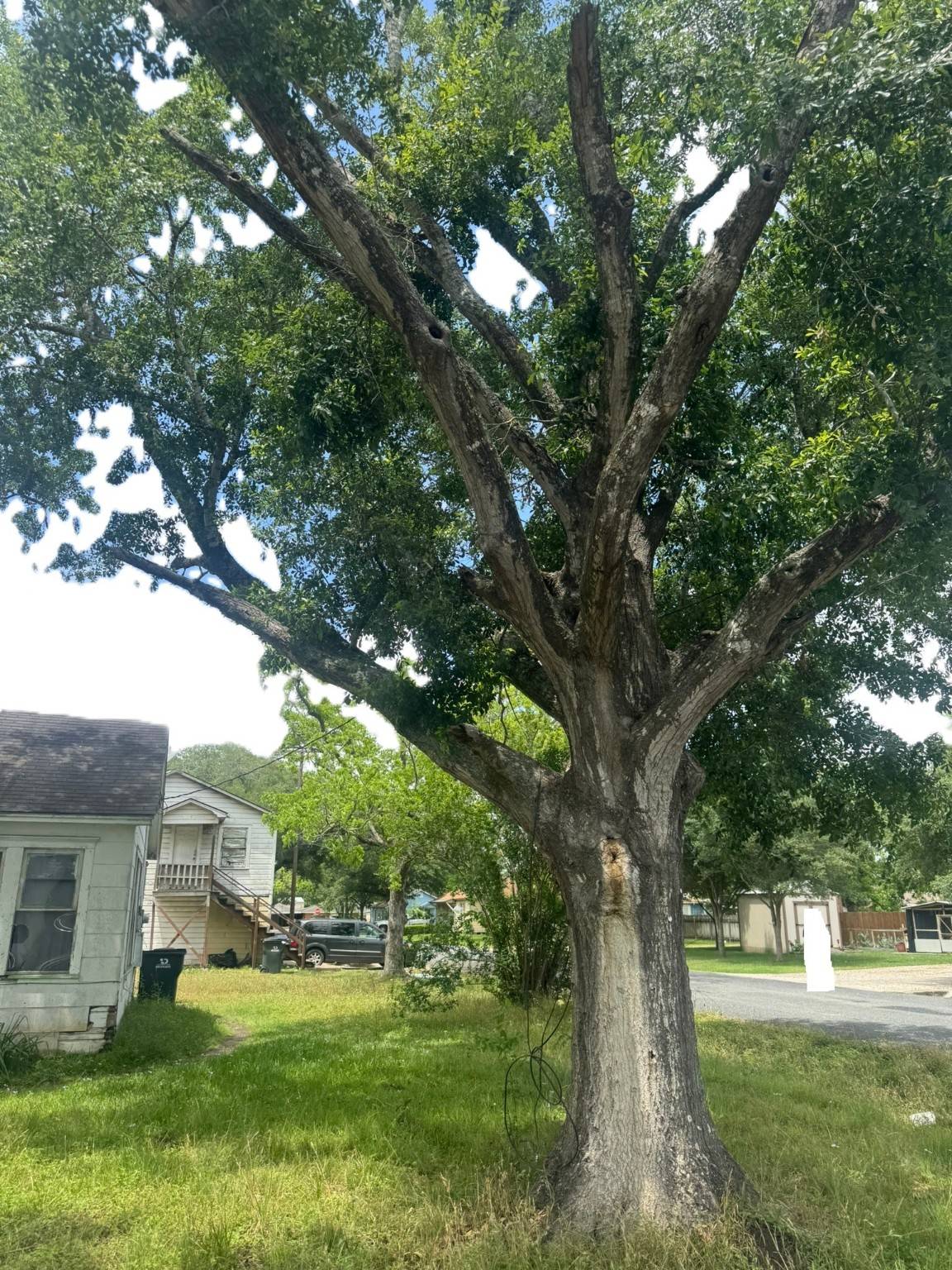 El Campo, TX 77437,513 Lundy ST
