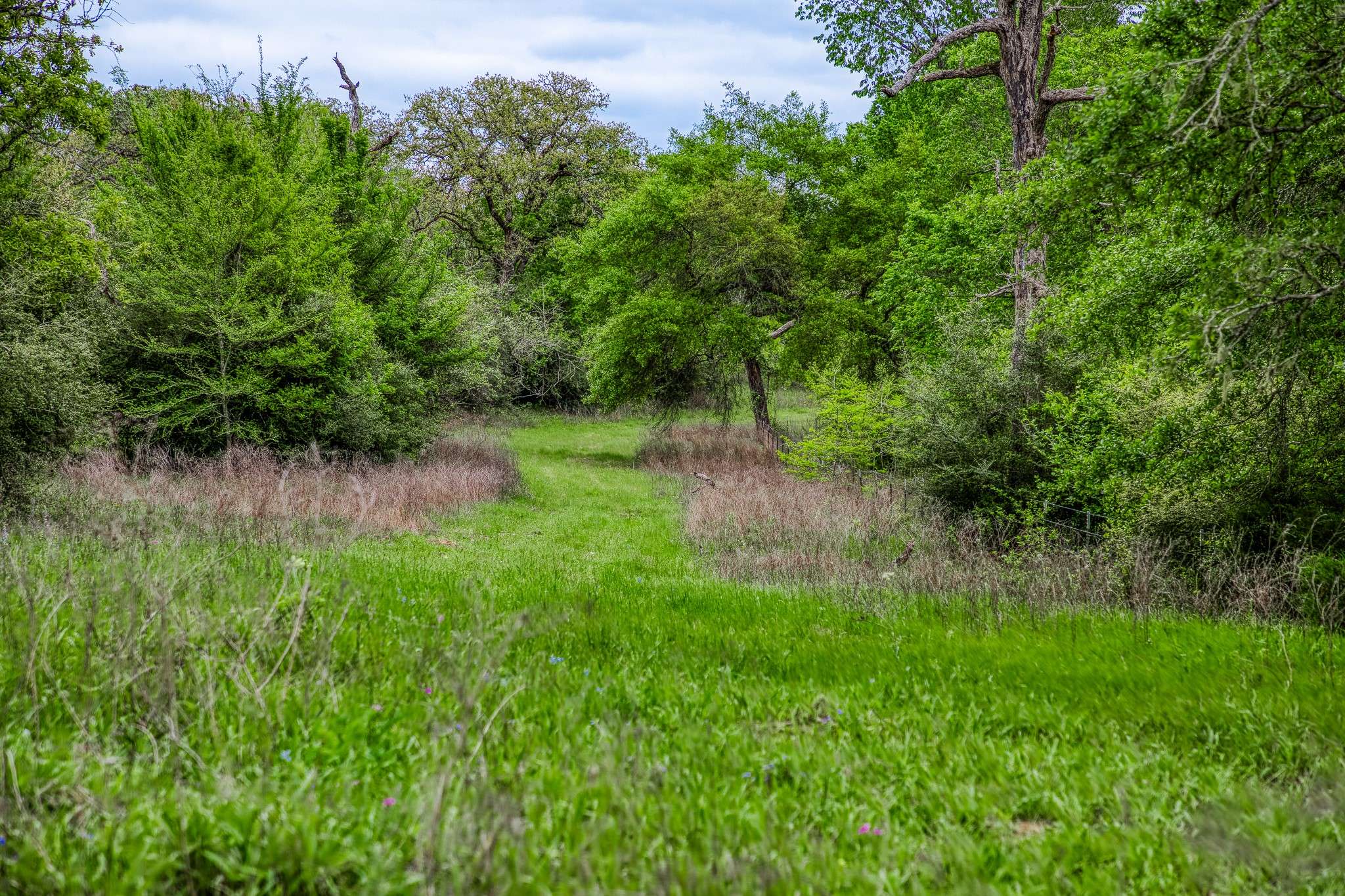 Ledbetter, TX 78946,TBD (349.84 Acres) County Road 125