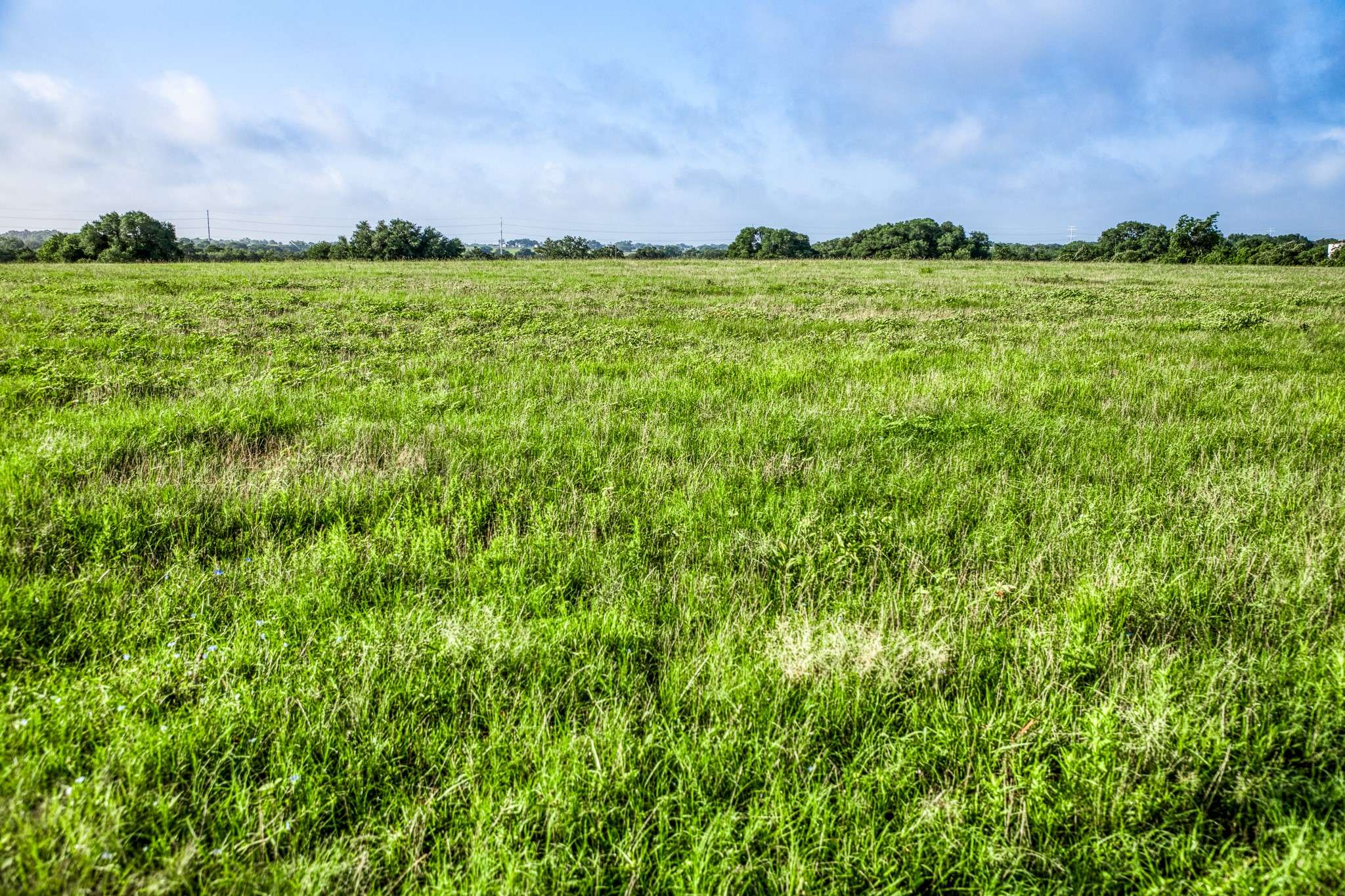 Round Top, TX 78954,Tract 12 S Nassau RD