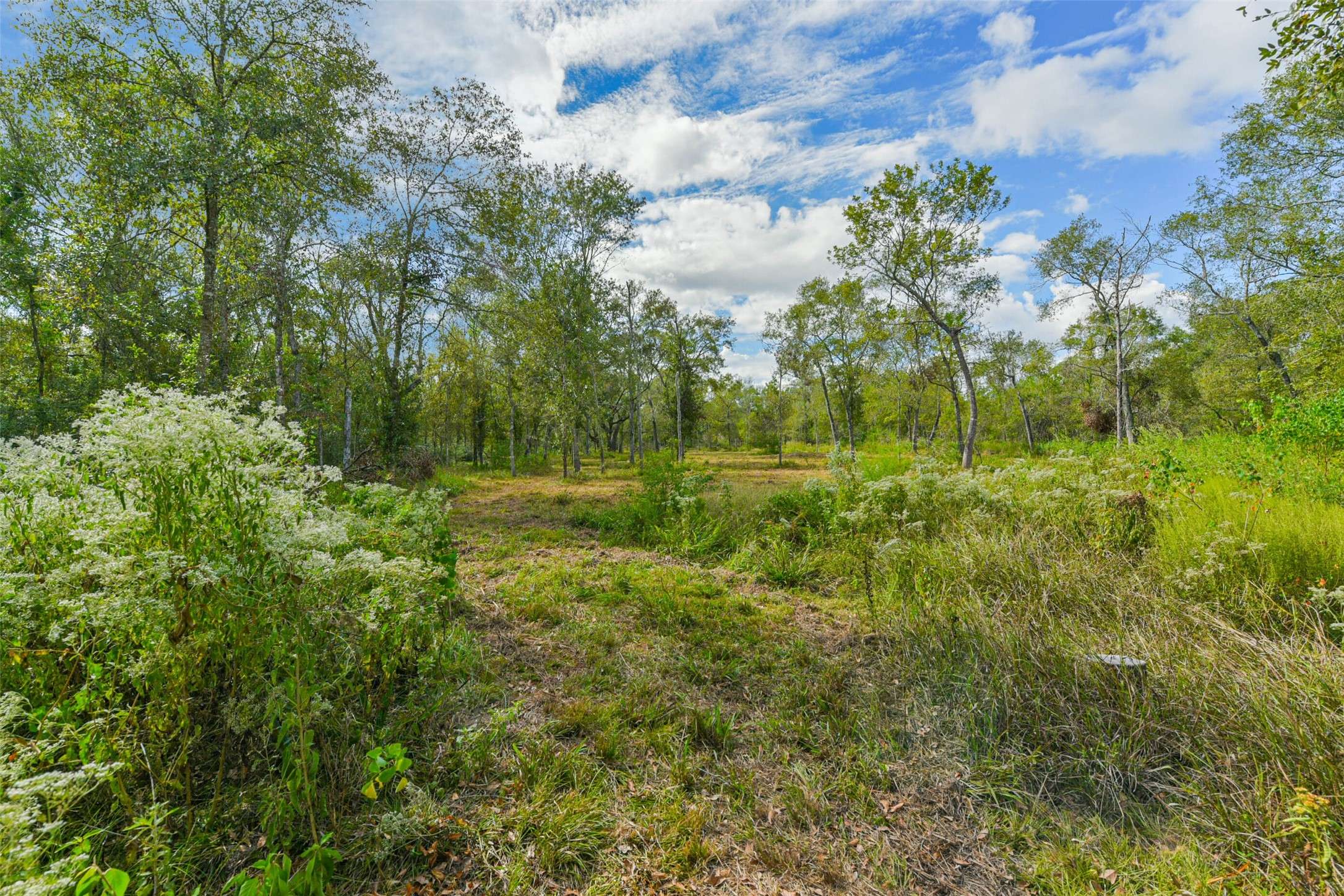 Damon, TX 77430,0 Live Oak St