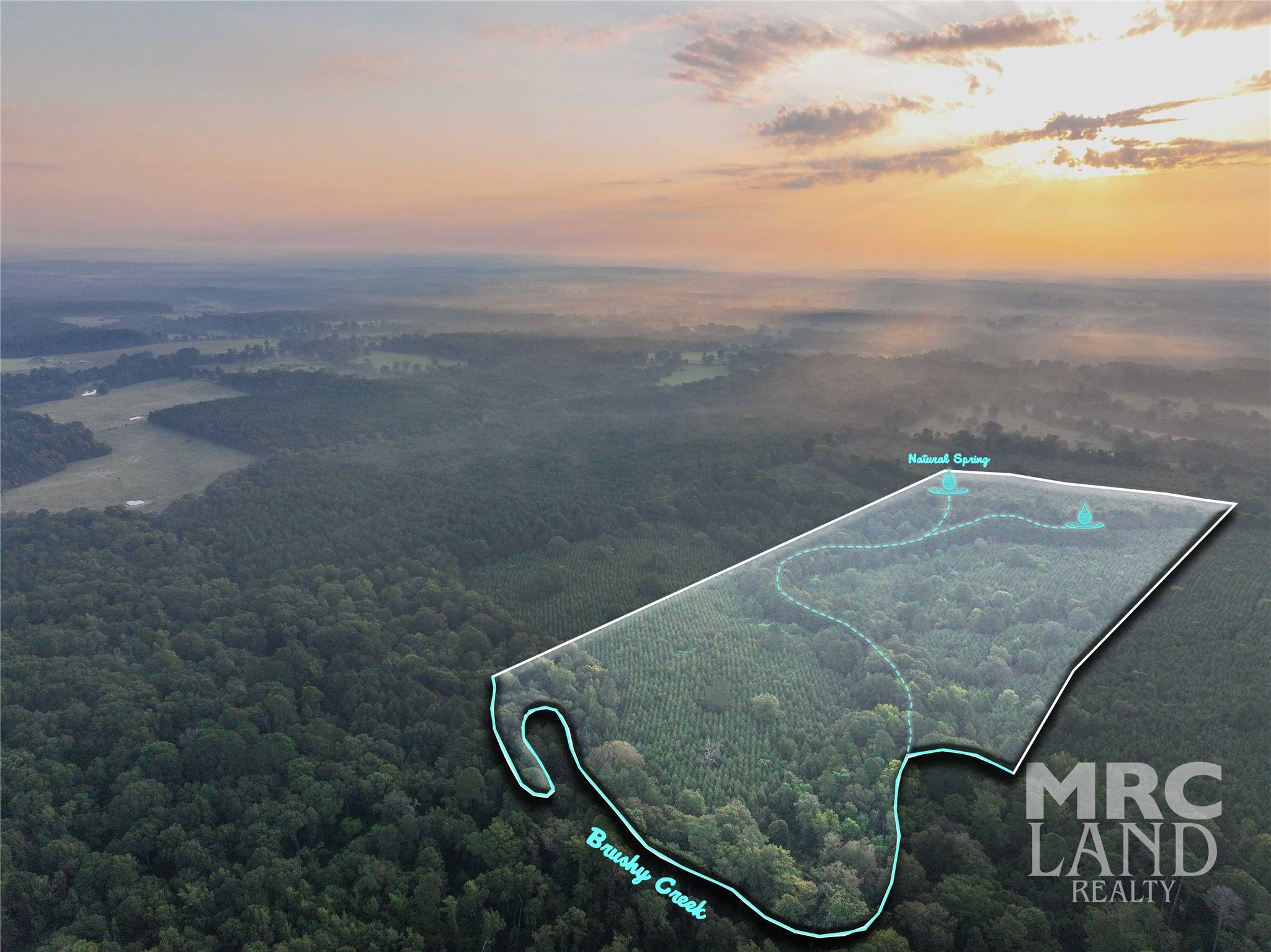 Center, TX 75954,00 County Road 3173