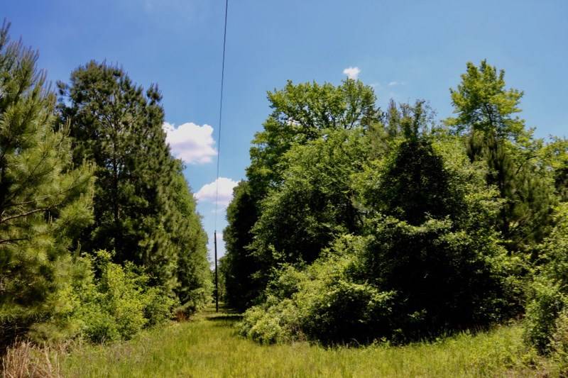 Navasota, TX 77868,13553 County Road 446