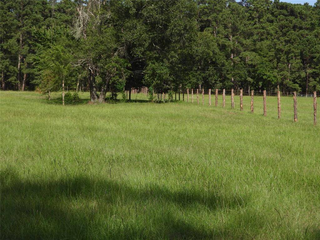 Richards, TX 77873,TBD 1 Bethel RD