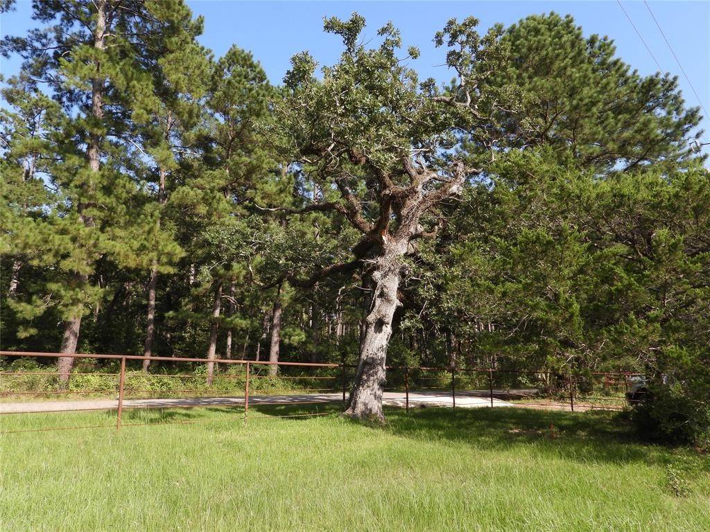 Richards, TX 77873,TBD 1 Bethel RD