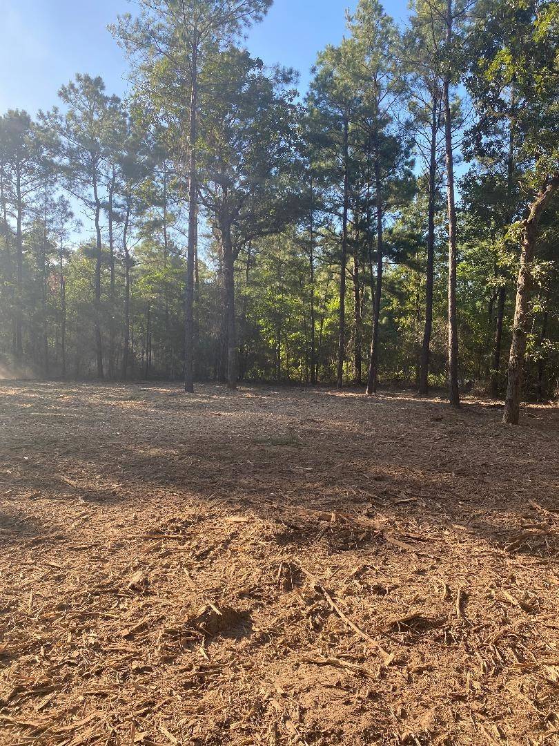 Plantersville, TX 77363,14628 Shadows End DR