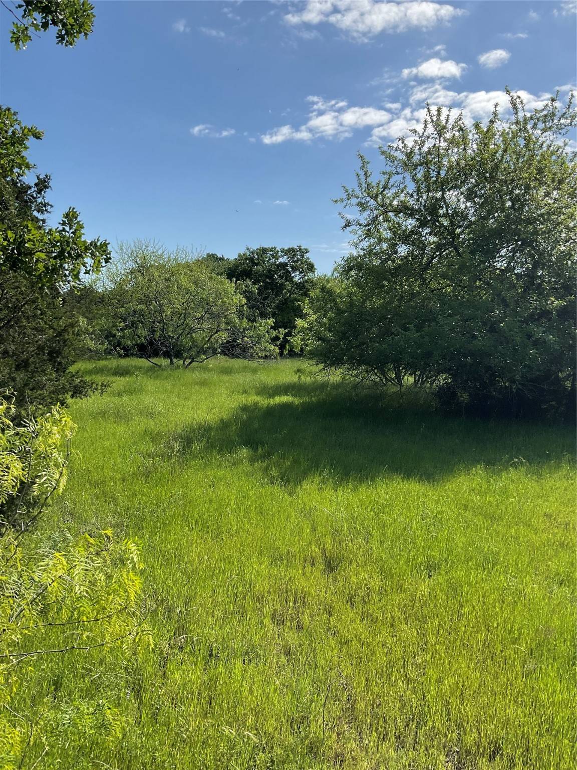 Normangee, TX 77871,7403 CR 460