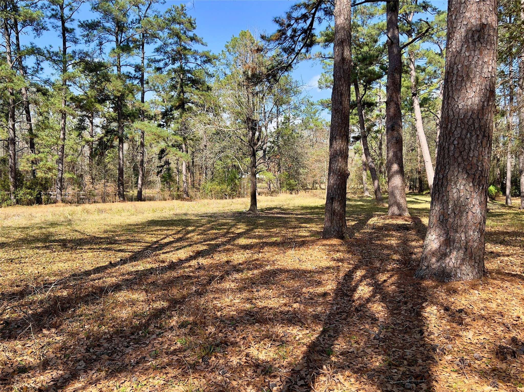 New Caney, TX 77357,TBD Kent St