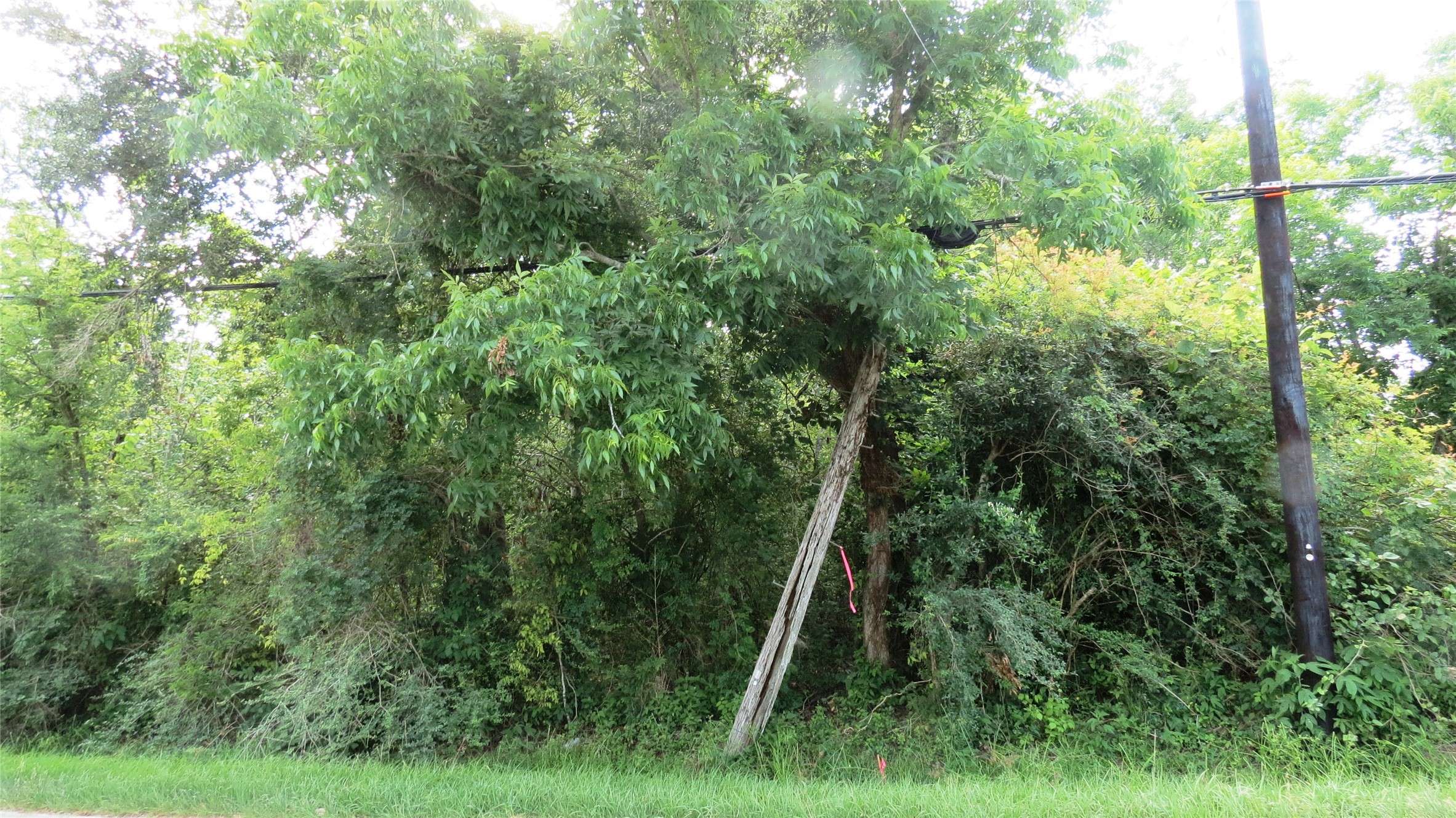 Santa Fe, TX 77517,0 Birch ST