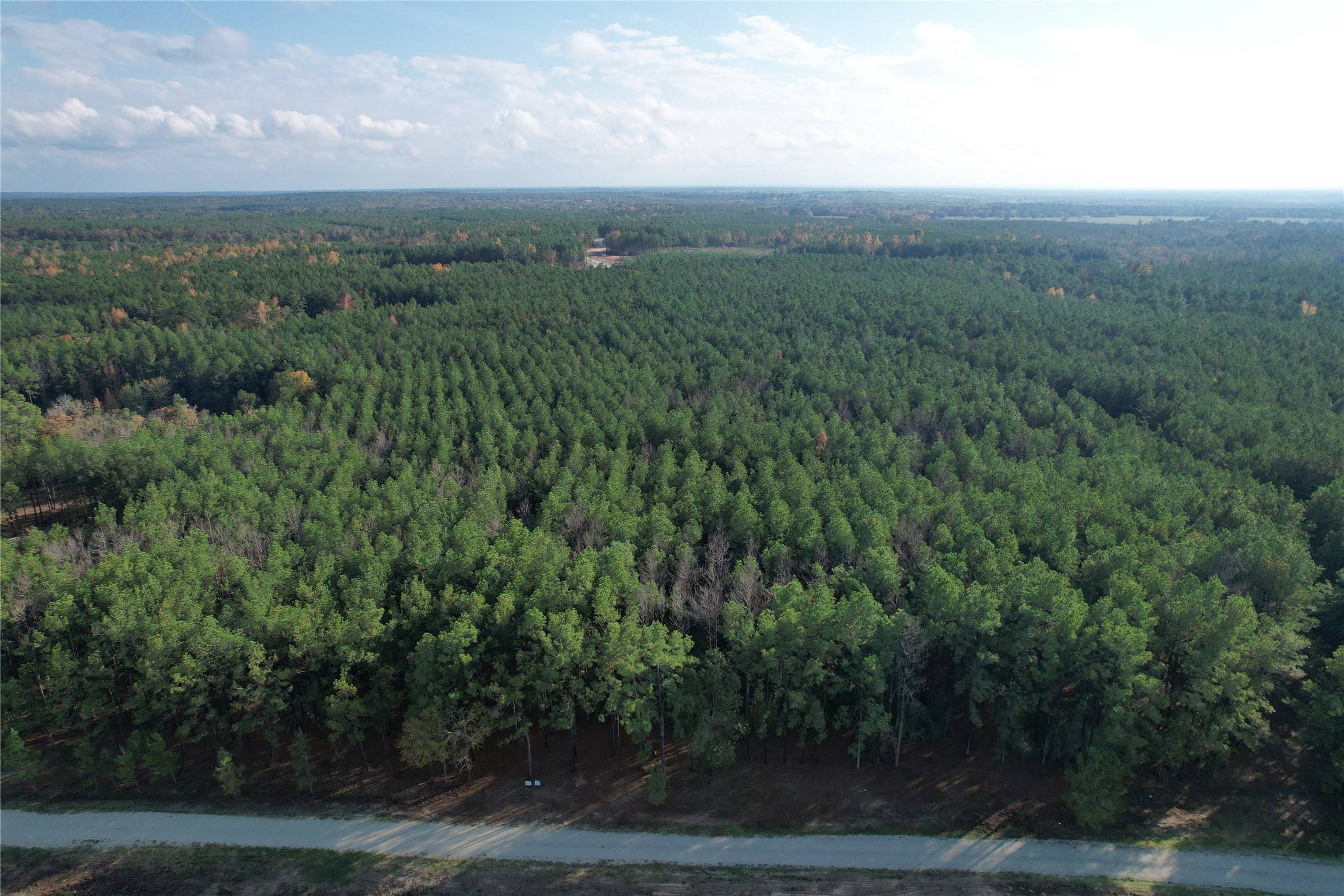 Lovelady, TX 75851,350 Williamson Way