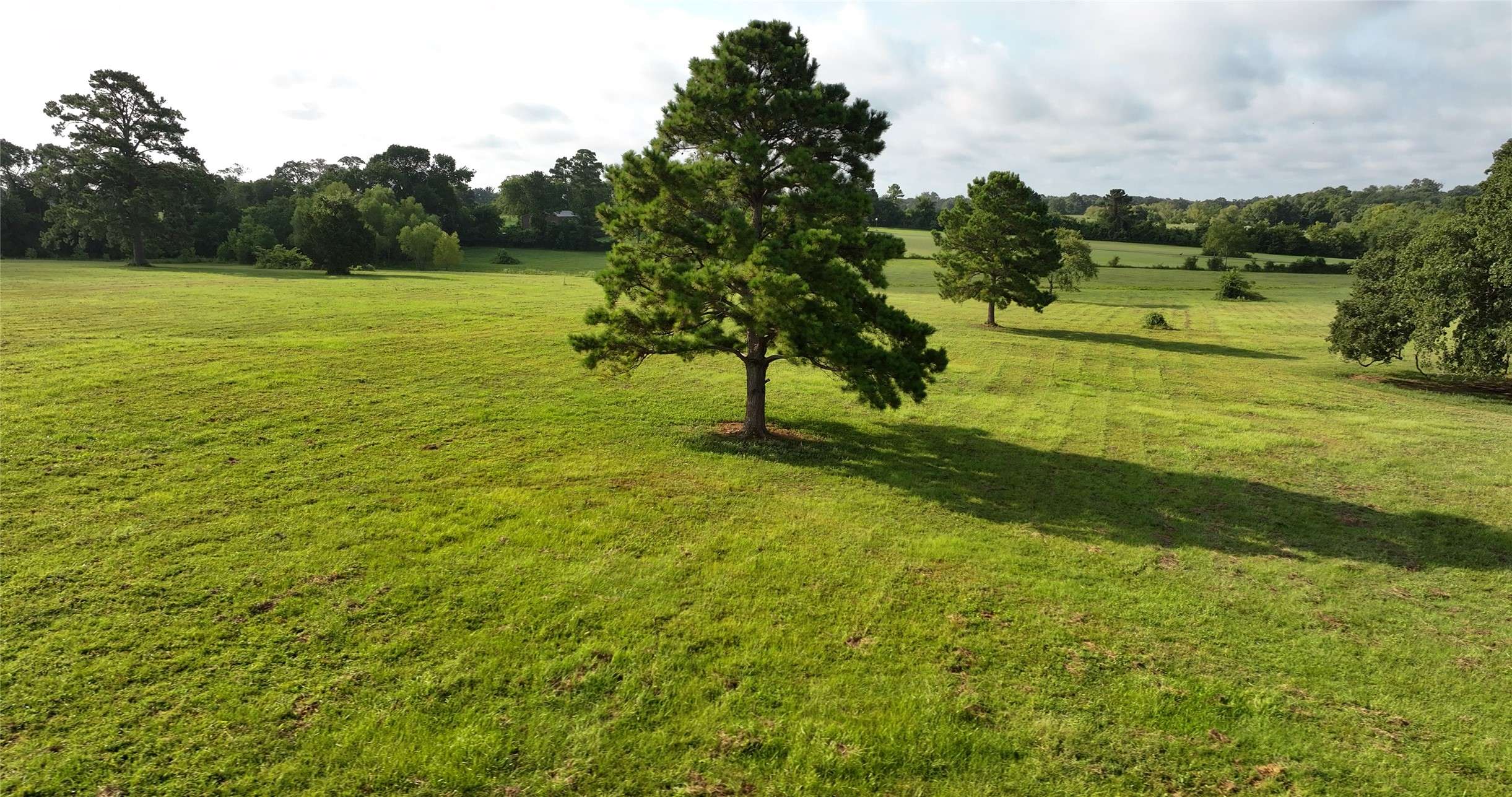 Montgomery, TX 77316,1605 Spring Branch RD