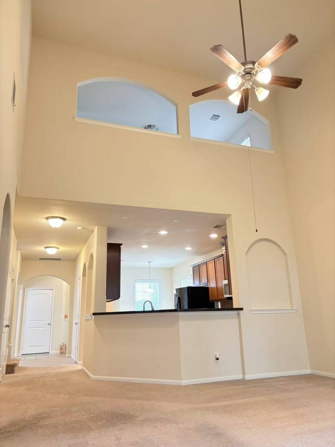 Houston, TX 77083,14246 Dos Palos DR