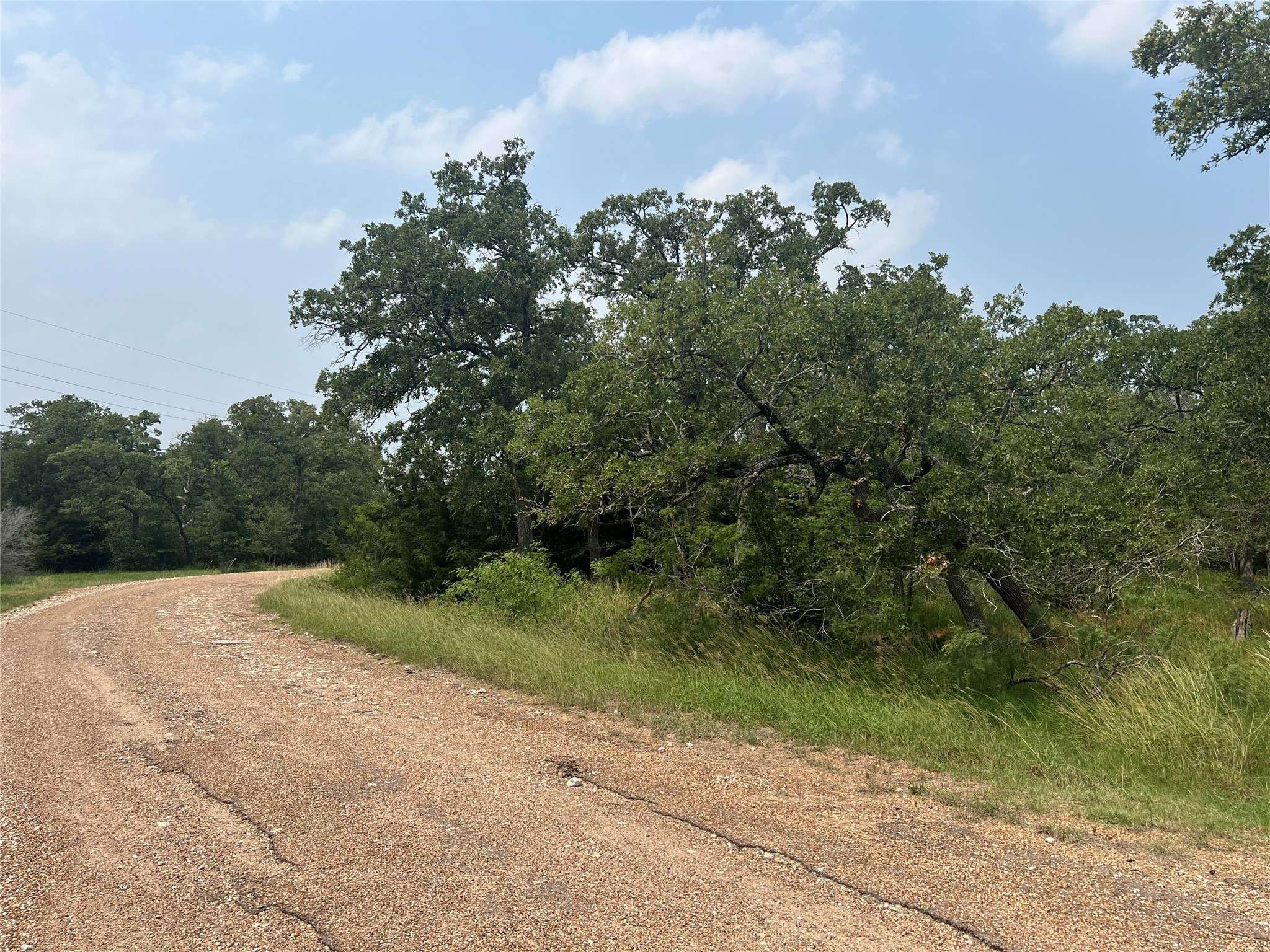 Somerville, TX 77879,190 Whispering Woods TRL