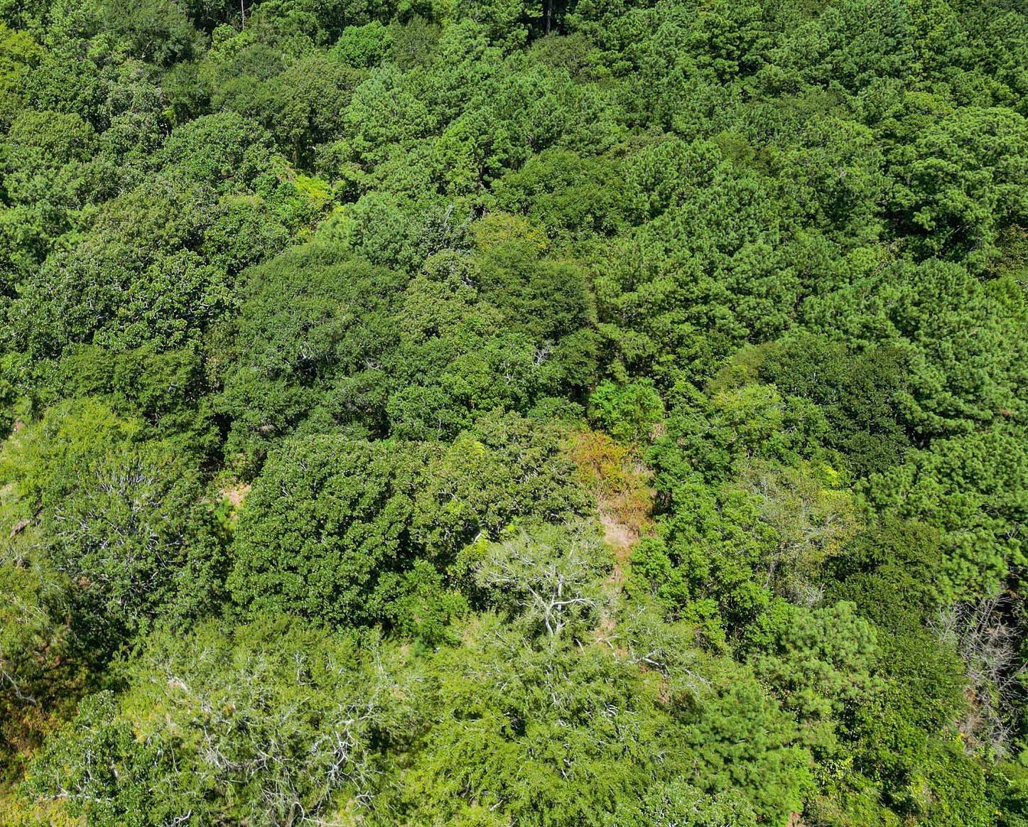 Navasota, TX 77868,15440 Crape Myrtle LN