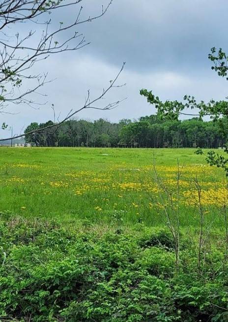 Hungerford, TX 77448,0 County Rd 159