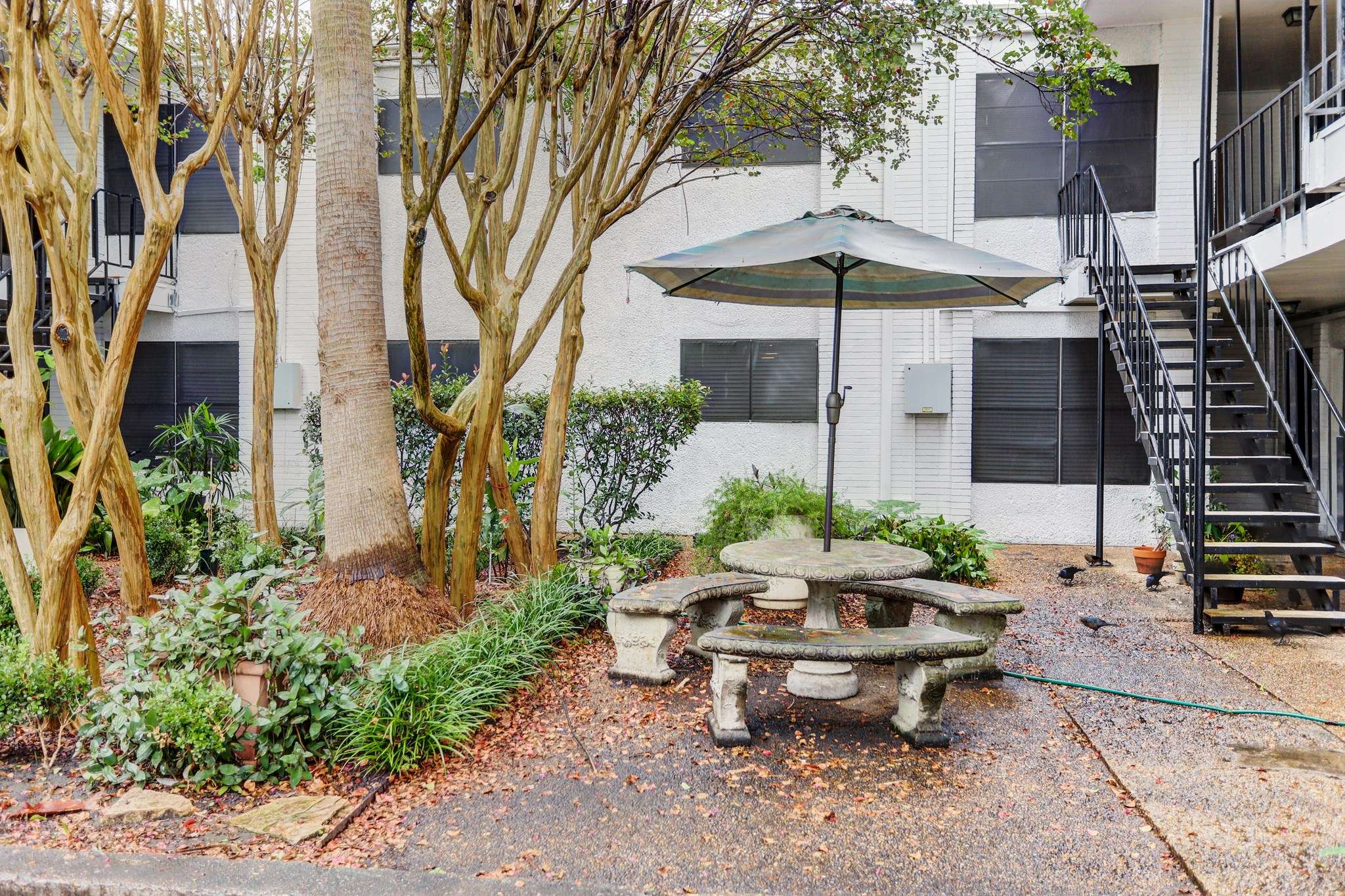 Houston, TX 77006,1645 W Main ST #13