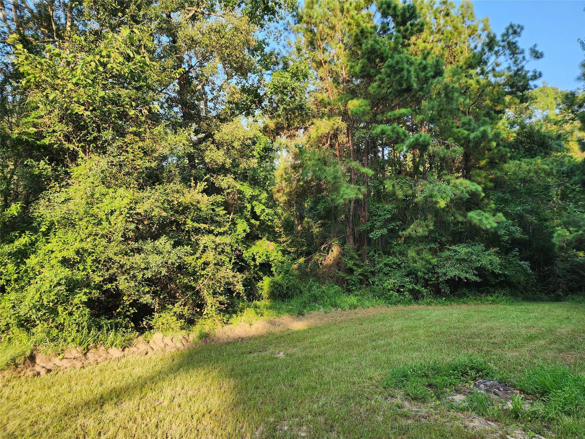 Point Blank, TX 77364,0 Governor Latham CIR