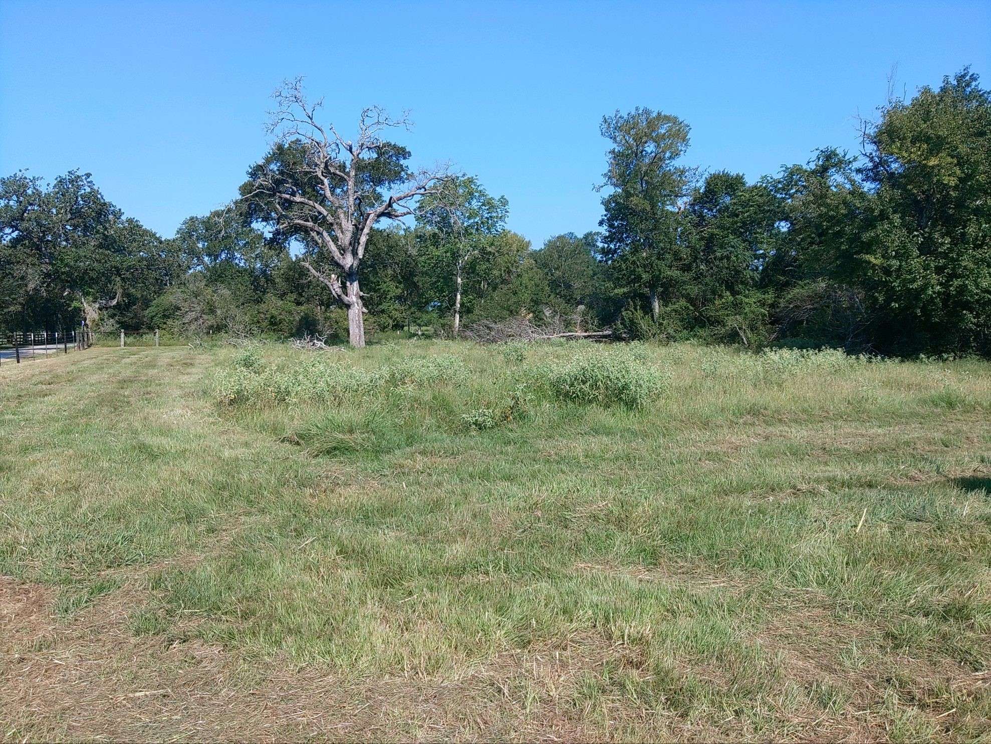 Hempstead, TX 77445,tbd Qualls RD