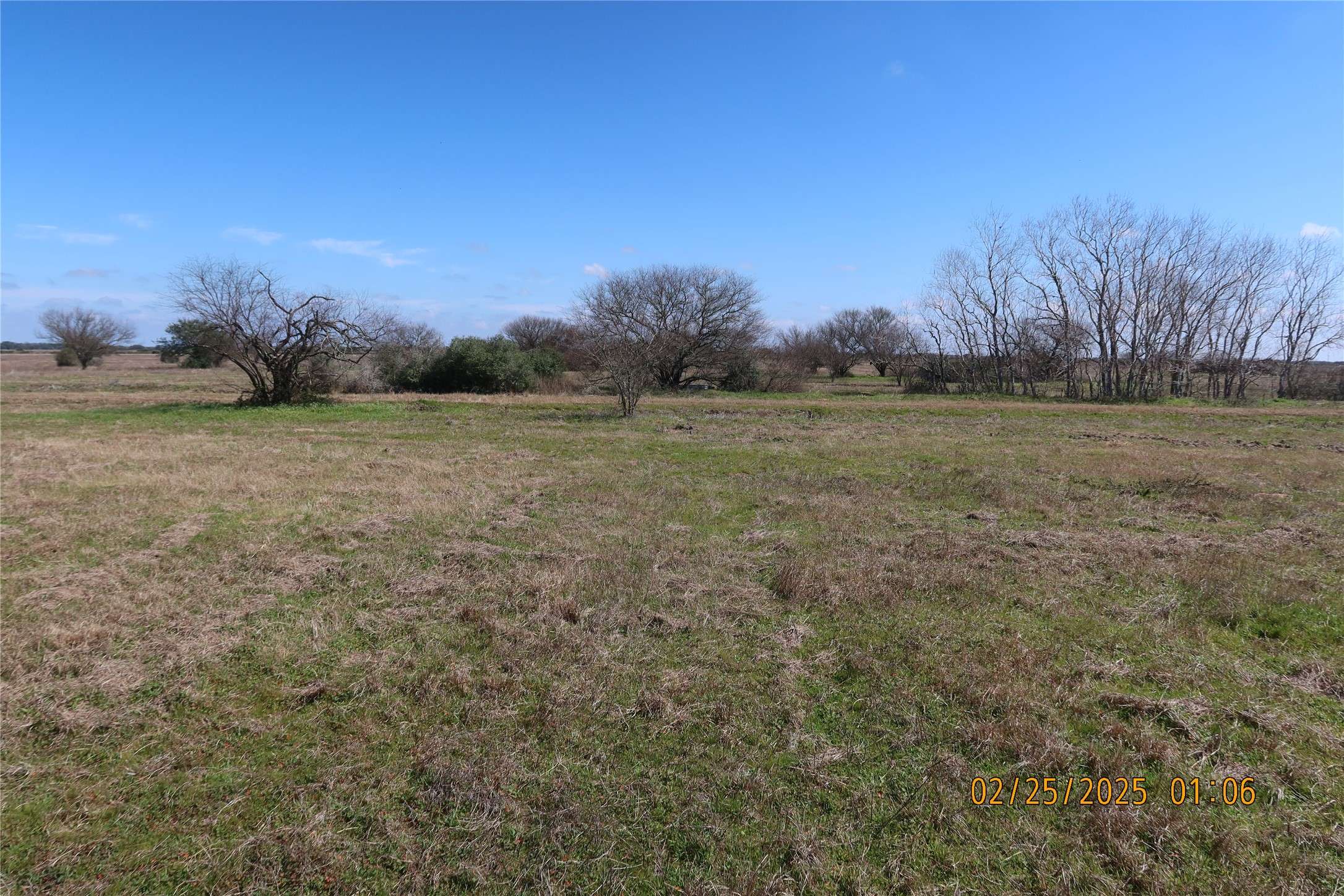 Columbus, TX 78934,000 Teal Lane
