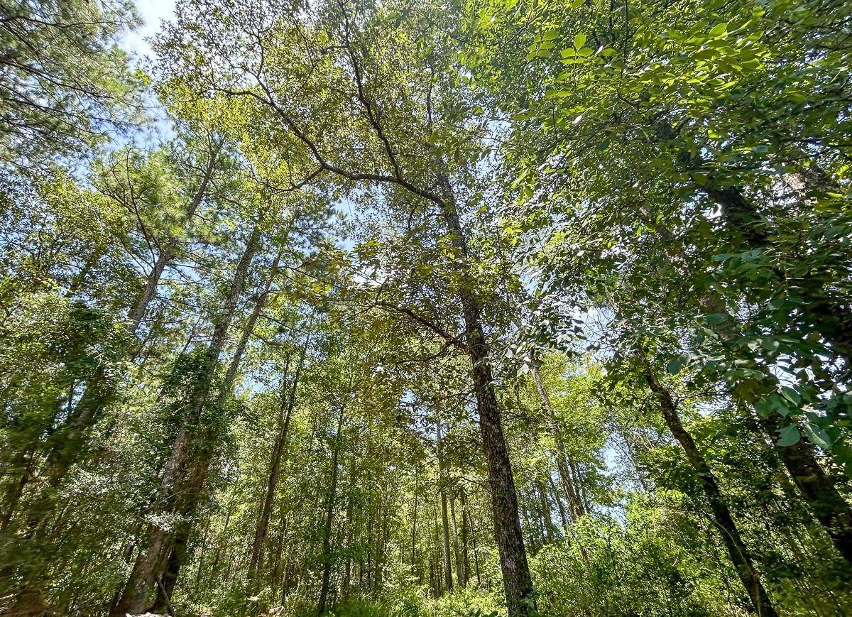 Leggett, TX 77350,751 Red HOLW