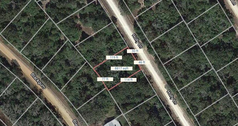Normangee, TX 77871,Lot 19 Holly LN