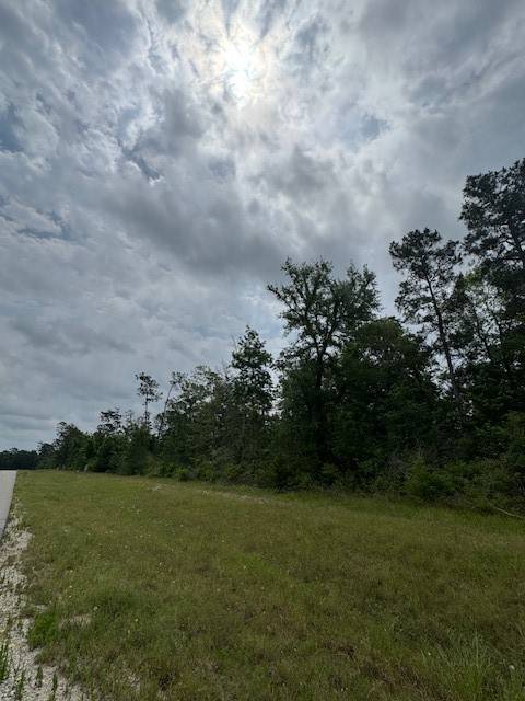 Willis, TX 77378,340 Iron Horse RD
