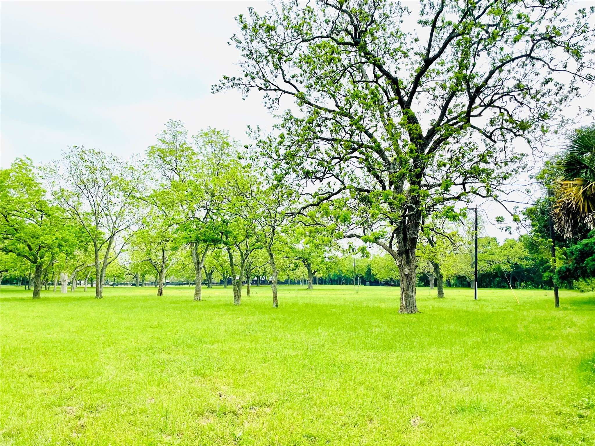 Fulshear, TX 77441,2955 Bowser RD