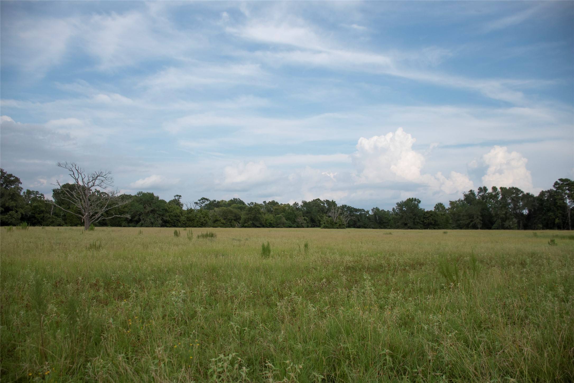 Grapeland, TX 75844,1202 County Road 2255