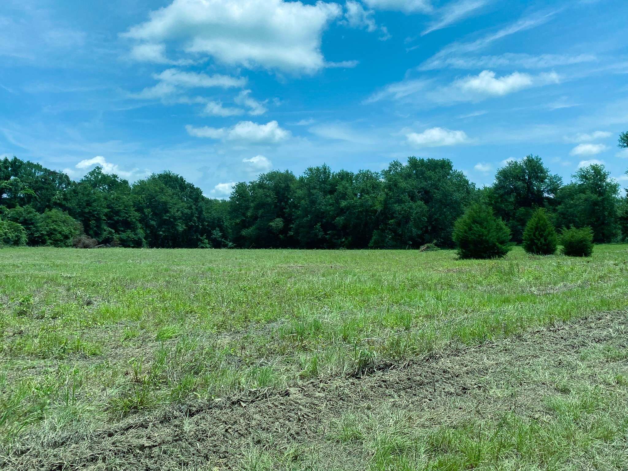 Marquez, TX 77865,TR5 HWY 7