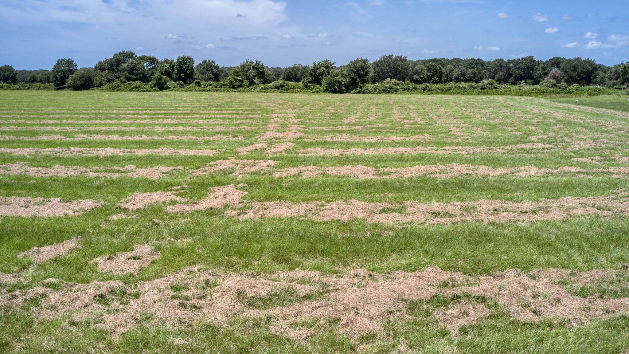 Hempstead, TX 77445,24659 Richards RD