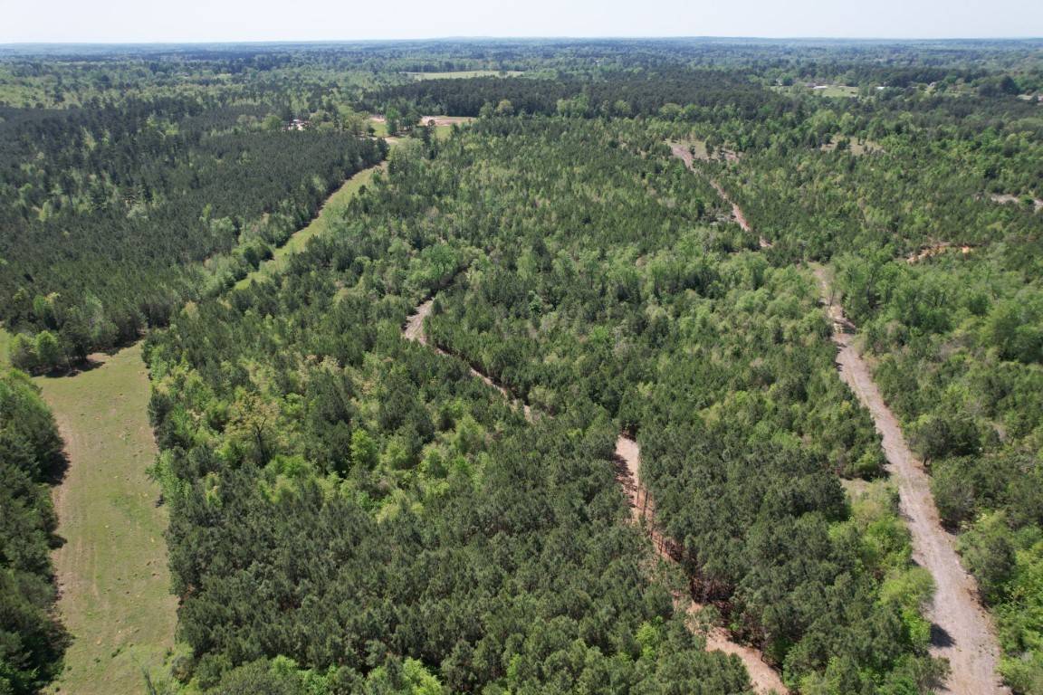 Gladewater, TX 75647,TBD-D Old Hwy 135