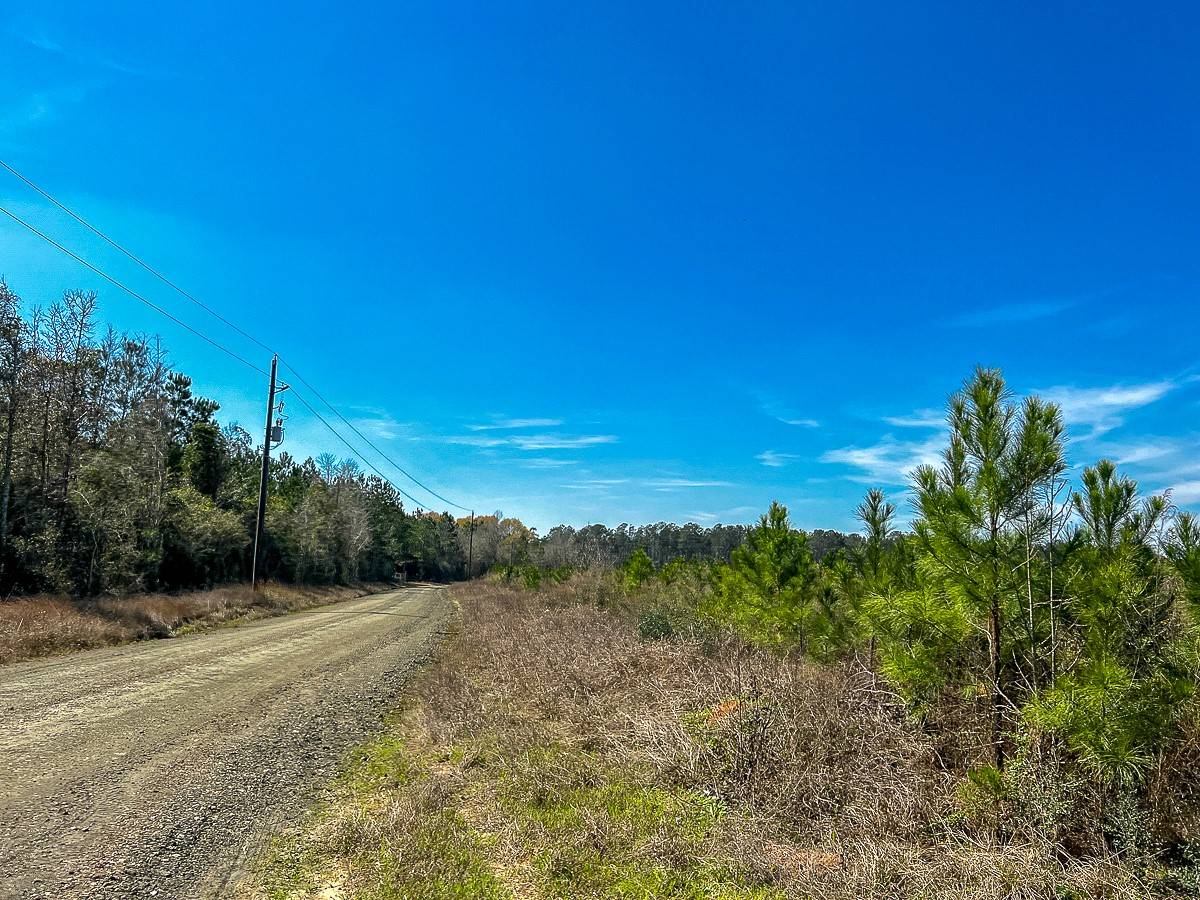 Spurger, TX 77660,00 County Rd 4415