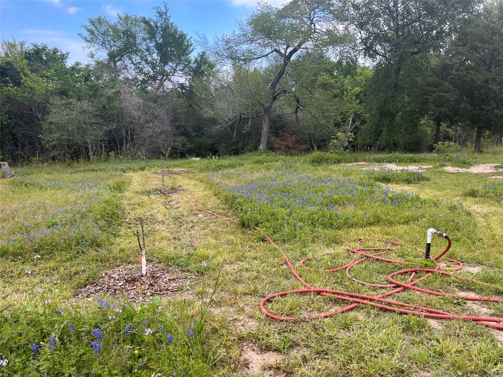 Bedias, TX 77831,26178 Bankhead DR