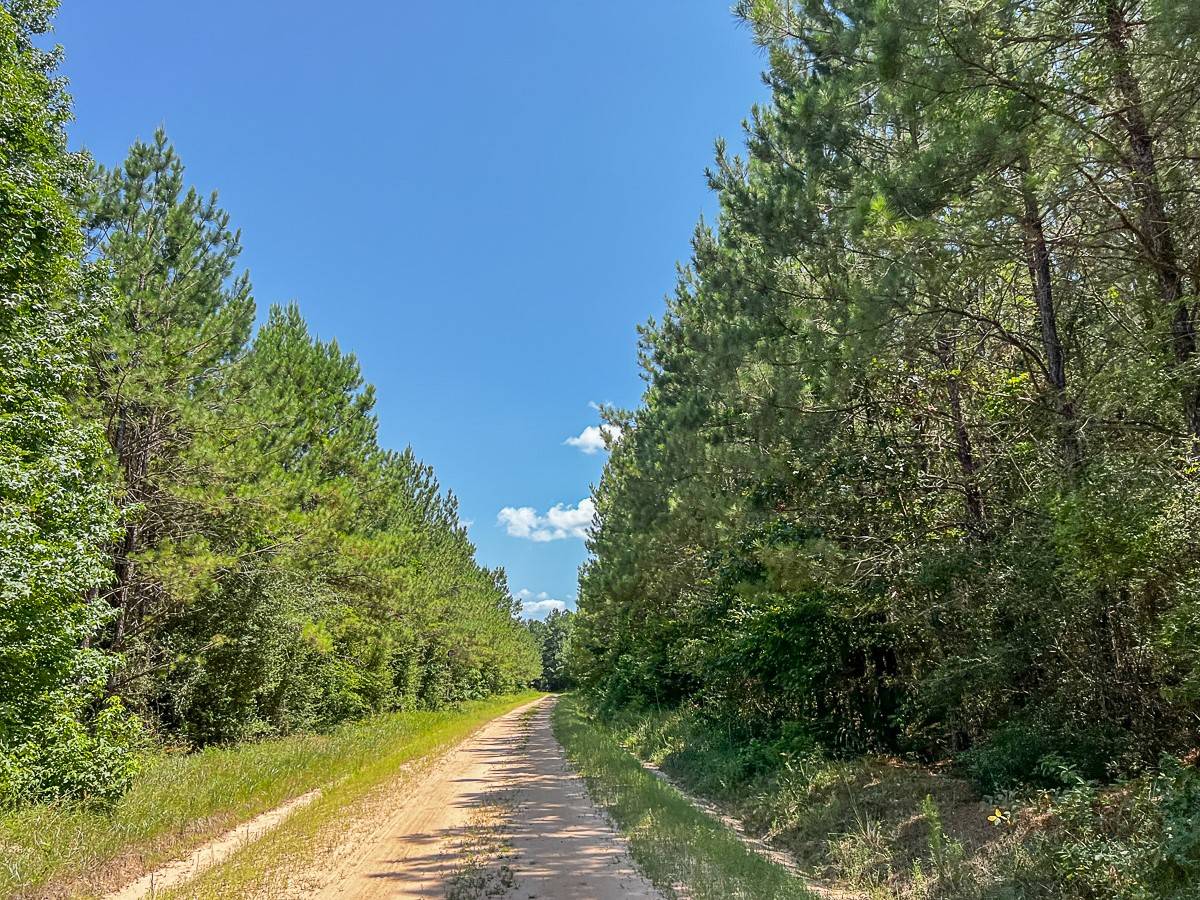 Zavalla, TX 75980,000 CR 367