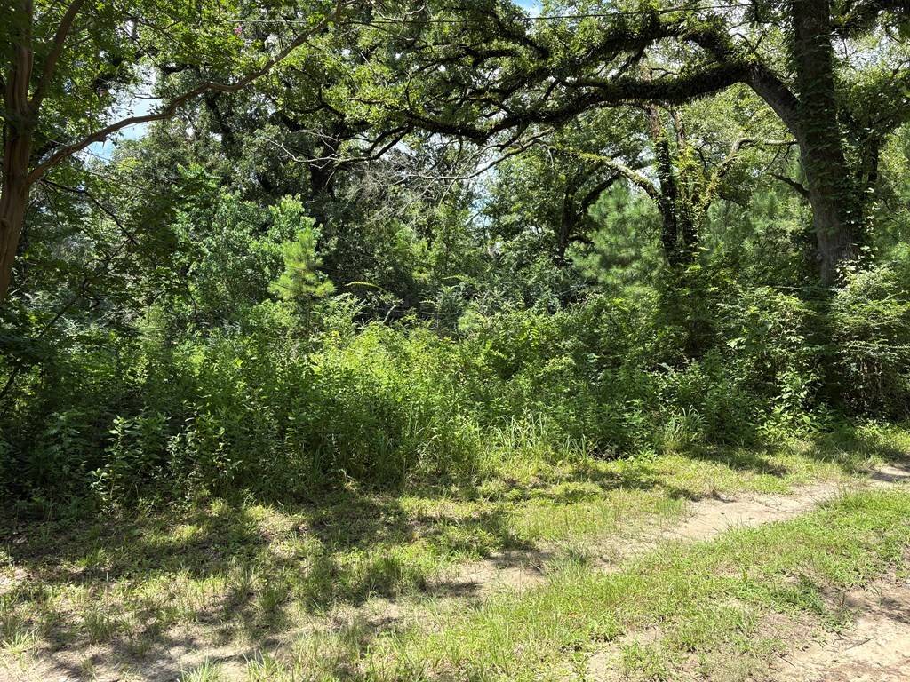 Lufkin, TX 75904,3100 North John Redditt Drive