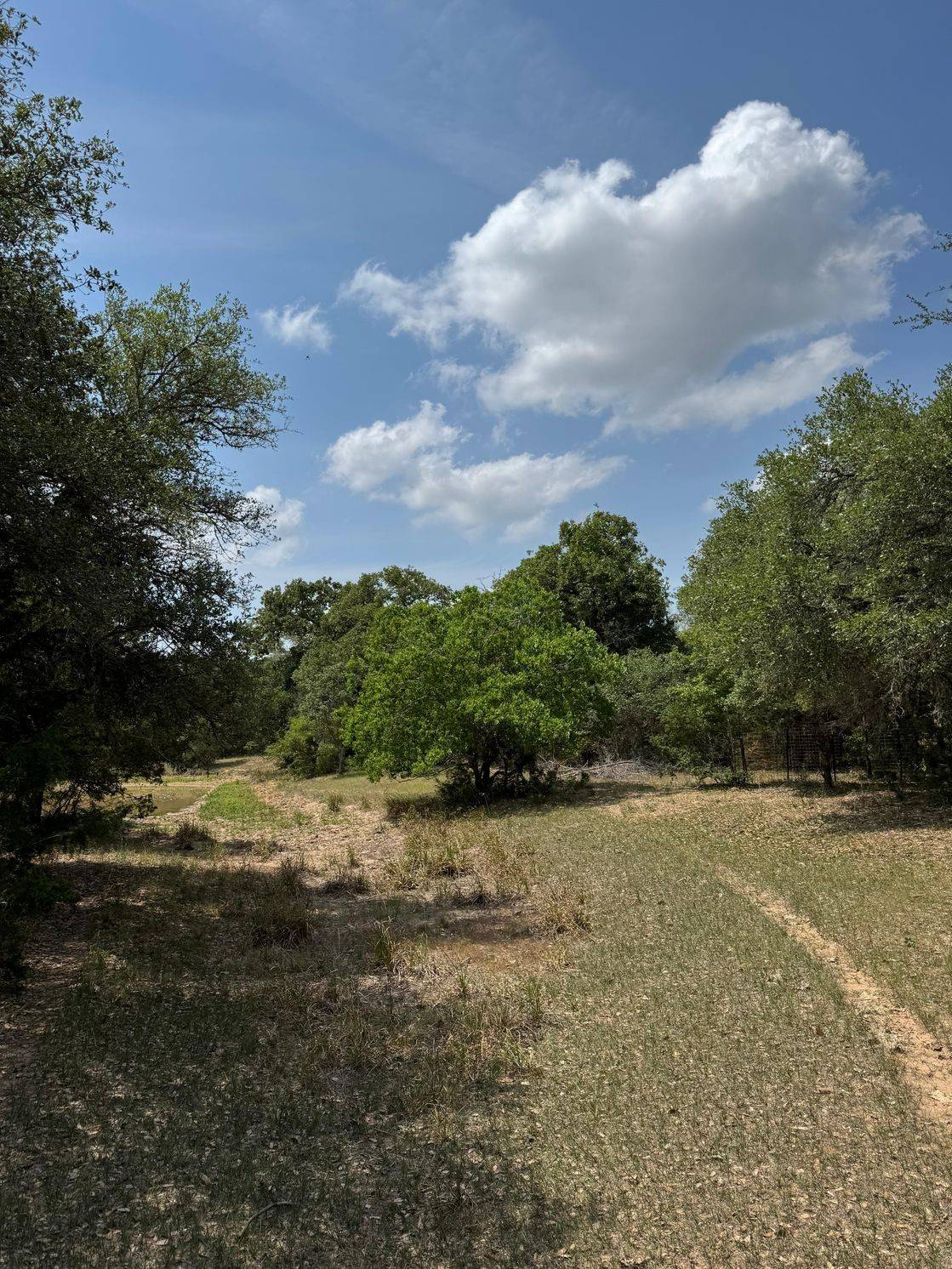 Hallettsville, TX 77964,TBD County Road 122